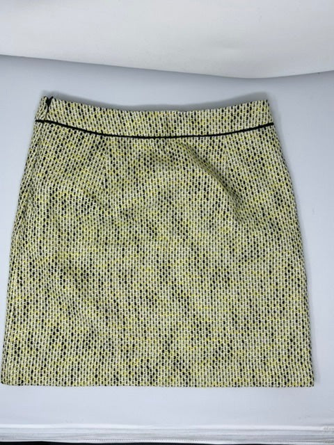 Banana Republic Skirt, size 0  #304