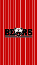 Load image into Gallery viewer, Boys Basketball Bears Stripe Microfiber Towels