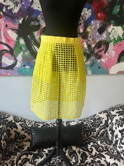 Ann Taylor Loft Skirt, size 4  #72