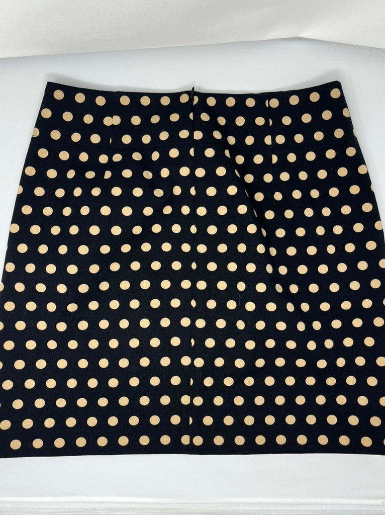 Ann Taylor Loft Skirt, size 2  #71