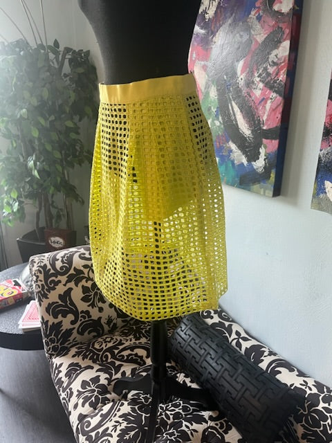 Ann Taylor Loft Skirt, size 4  #72