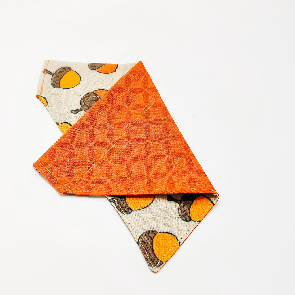 Acorns Dog Bandana & Cat Bandana