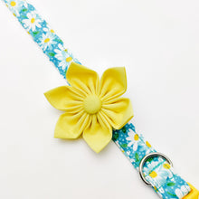 Load image into Gallery viewer, Aqua Daisy Dog Collar/ Cat Collar