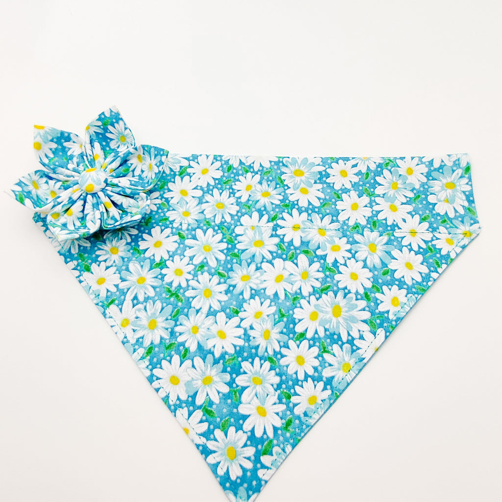 Aqua Daisy Dog Bandana & Cat Bandana