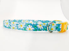 Load image into Gallery viewer, Aqua Daisy Dog Collar/ Cat Collar