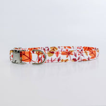 Load image into Gallery viewer, Autumn Leaves Dog Collar/ Cat Collar